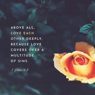 1 Peter 4:8 - Most importantly, love each other deeply, because love will cause people to forgive each other for many sins.