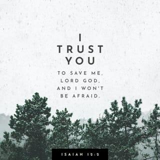 Isaiah 12:2 - See, God has come to save me.
I will trust in him and not be afraid.
The LORD GOD is my strength and my song;
he has given me victory.”