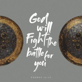 Exodus 14:13-14 - Moses answered the people, “Do not be afraid. Stand firm and you will see the deliverance the LORD will bring you today. The Egyptians you see today you will never see again. The LORD will fight for you; you need only to be still.”
