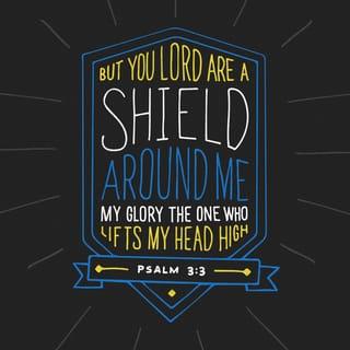 Psalms 3:3-4 - But you, LORD, are a shield around me,
my glory, the One who lifts my head high.
I call out to the LORD,
and he answers me from his holy mountain.