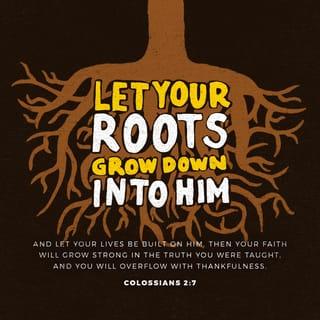 Colossians 2:7 - Let your roots grow down into him, and let your lives be built on him. Then your faith will grow strong in the truth you were taught, and you will overflow with thankfulness.