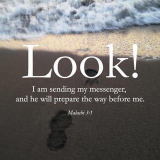 Malachi 3:1 - BEHOLD, I send My messenger, and he shall prepare the way before Me. And the Lord [the Messiah], Whom you seek, will suddenly come to His temple; the Messenger or Angel of the covenant, Whom you desire, behold, He shall come, says the Lord of hosts. [Matt. 11:10; Luke 1:13-17, 76.]