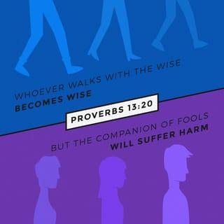 Proverbs 13:20 - Walk with the wise and become wise,
for a companion of fools suffers harm.