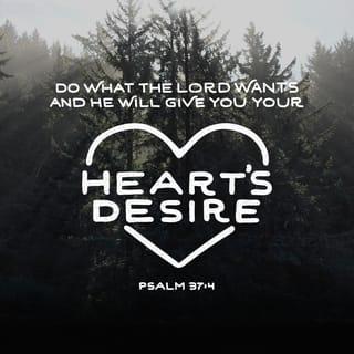 Psalms 37:3-6 - Trust in the LORD and do good;
dwell in the land and enjoy safe pasture.
Take delight in the LORD,
and he will give you the desires of your heart.

Commit your way to the LORD;
trust in him and he will do this:
He will make your righteous reward shine like the dawn,
your vindication like the noonday sun.