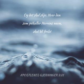 Apostlenes gjerninger 2:21 NB