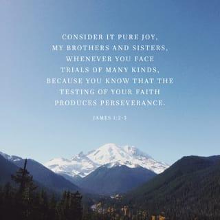 James 1:2 - Consider it pure joy, my brothers and sisters, whenever you face trials of many kinds
