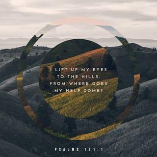 Psalm 121:1 - I lift up my eyes to the hills.
From where does my help come?