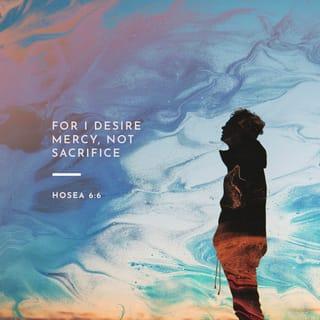 Hosea 6:6 - For I desire steadfast love and not sacrifice,
the knowledge of God rather than burnt offerings.