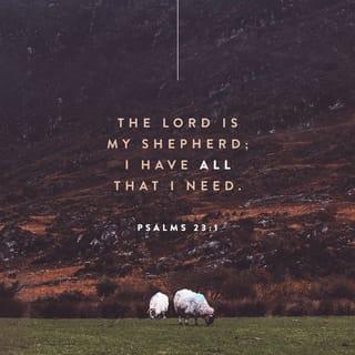 Psalms 23:1-2 - The LORD is my shepherd, I lack nothing.
He makes me lie down in green pastures,
he leads me beside quiet waters