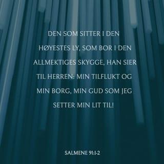 Salmene 91:1-16 NB