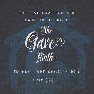 Luke 2:7 - She gave birth to her firstborn son. She wrapped him snugly in strips of cloth and laid him in a manger, because there was no lodging available for them.