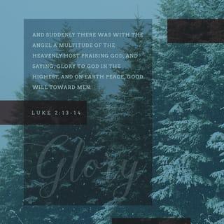 Luke 2:14 - “Glory to God in highest heaven,
and peace on earth to those with whom God is pleased.”