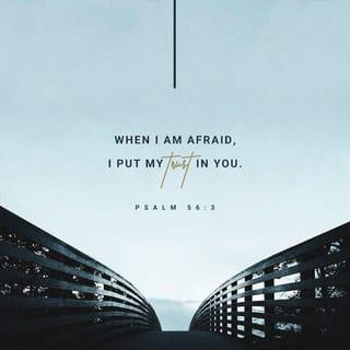 Psalms 56:3-4 - When I am afraid,
I will trust you.
I praise God for his word.
I trust God, so I am not afraid.
What can human beings do to me?
