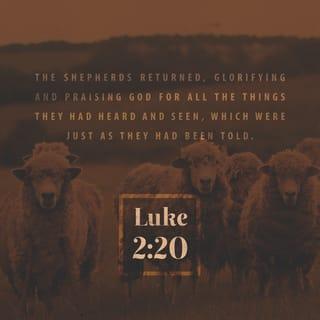 Luke 2:20 - The shepherds went back to their flocks, glorifying and praising God for all they had heard and seen. It was just as the angel had told them.