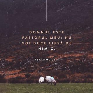 Psalmul 23:1 VDC