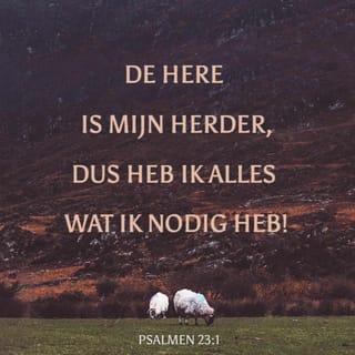 Psalmen 23:1 - Een lied van David.
De Heer zorgt voor mij zoals een herder voor zijn schapen zorgt.
Ik kom niets tekort.
