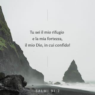 Salmi 91:2 - Io dico al SIGNORE: «Tu sei il mio rifugio e la mia fortezza, il mio Dio, in cui confido!»