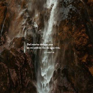 S. Juan 7:38 - El que cree en mí, como dice la Escritura, de su interior correrán ríos de agua viva.