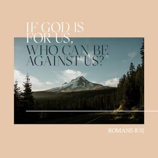 Romans 8:31 - What then shall we say to [all] this? If God is for us, who [can be] against us? [Who can be our foe, if God is on our side?] [Ps. 118:6.]