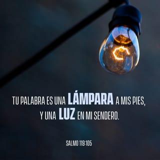 Salmos 119:105 - Tu palabra es una lámpara a mis pies;
¡es la luz que ilumina mi camino!