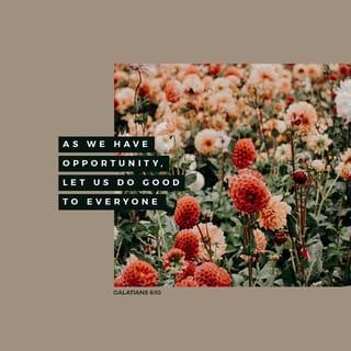 Galatians 6:10 - Therefore, as we have opportunity, let us do good to all, especially to those who are of the household of faith.