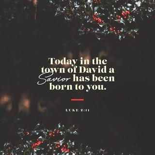 Luke 2:10-11 - But the angel said to them, “Do not be afraid. I bring you good news that will cause great joy for all the people. Today in the town of David a Savior has been born to you; he is the Messiah, the Lord.