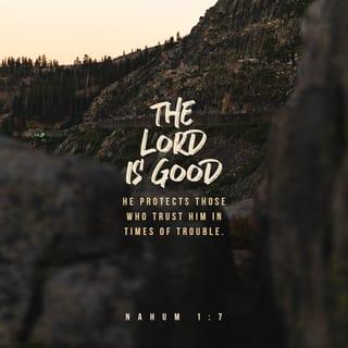Nahum 1:7 - The LORD is good.
He protects those who trust him
in times of trouble.