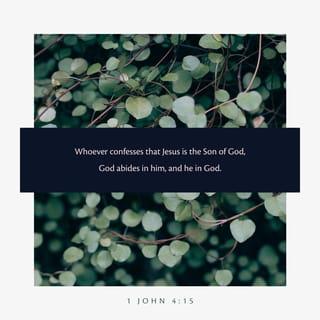1 John 4:15 NCV