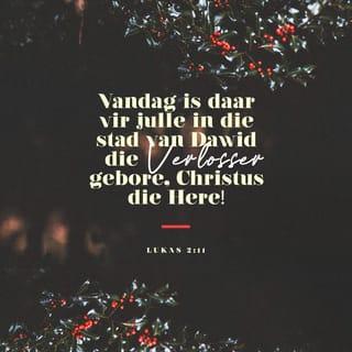 LUKAS 2:11 - Vandag is daar vir julle in die stad van Dawid die Verlosser gebore, Christus die Here!
