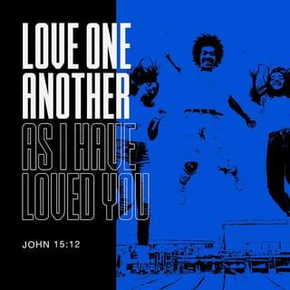John 15:12-13 - “This is My commandment, that you love one another, just as I have loved you. Greater love has no one than this, that one lay down his life for his friends.