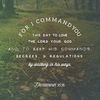 Deuteronomy 30:15-16,19 NCV