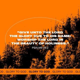 Psalms 29:2 - Honor the LORD for the glory of his name.
Worship the LORD in the splendor of his holiness.