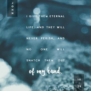 John 10:28 - And I give them eternal life, and they shall never perish; neither shall anyone snatch them out of My hand.