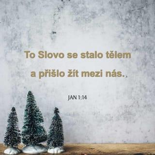 Jan 1:14 B21