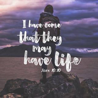 John 10:10 - The thief does not come except to steal, and to kill, and to destroy. I have come that they may have life, and that they may have it more abundantly.