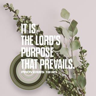 Proverbs 19:21 - Many plans are in a man’s mind,
But it is the LORD’S purpose for him that will stand (be carried out).