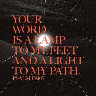Psalms 119:105 - Your word is a lamp for my feet,
a light on my path.