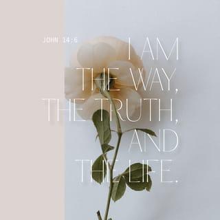 John 14:6 - Jesus answered, “I am the way, the truth, and the life. The only way to the Father is through me.