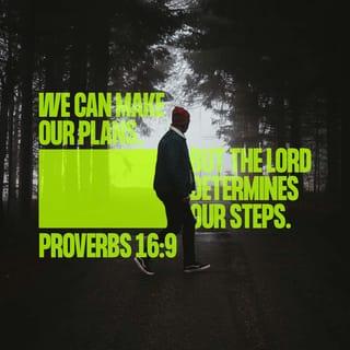 Proverbs 16:9 NCV