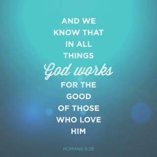 Romans 8:28 - And we know that all things work together for good to them that love God, to them who are the called according to his purpose.