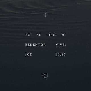 Job 19:25 - Yo sé que mi Redentor vive
y que al final se levantará sobre el polvo.