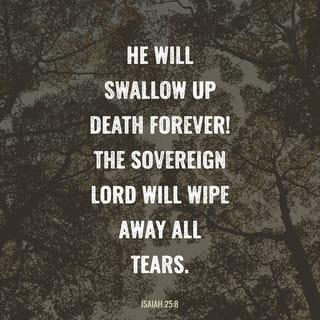Isaiah 25:8 - It is the gloom of death!
He will swallow it up in victory forever!
And God, Lord YAHWEH, will wipe away
every tear from every face.
He will remove every trace of disgrace
that his people have suffered throughout the world,
for the Lord YAHWEH has promised it!