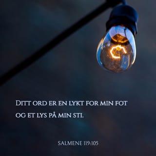 Salmene 119:105 NB