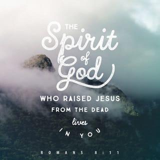 Romans 8:11 - But if the Spirit of him that raised up Jesus from the dead dwell in you, he that raised up Christ from the dead shall also quicken your mortal bodies by his Spirit that dwelleth in you.