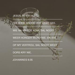 JOHANNES 6:35 AFR83