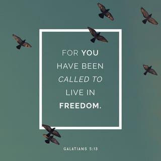 Galatians 5:13 - For you, brethren, have been called to liberty; only do not use liberty as an opportunity for the flesh, but through love serve one another.