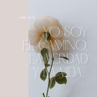 S. Juan 14:6 RVR1960