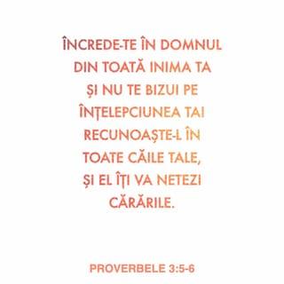 Proverbele 3:5-6 VDC