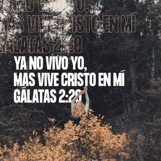 Gálatas 2:20 RVR1960