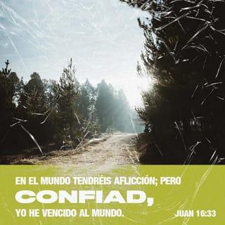 S. Juan 16:33 RVR1960
